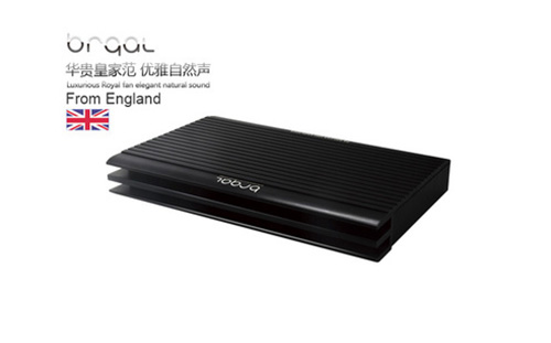 2声道AB+D类功放P2