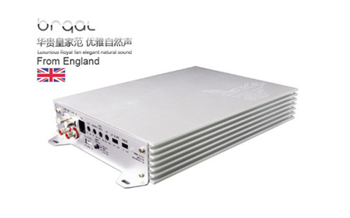 X1 单声道D类功放