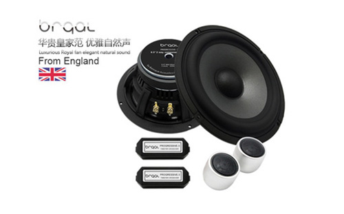 6.5寸二路套装喇叭P3