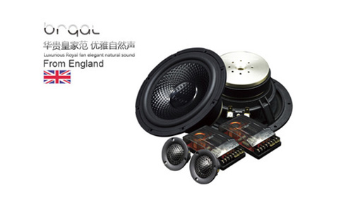 6.5寸二分频套装喇叭X5.62