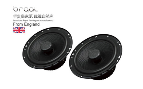 6.5寸二路同轴喇叭X1.6